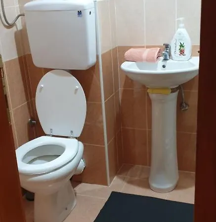 Bikica Vrnjačka Banja