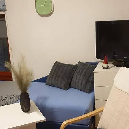 Bikica 아파트 Vrnjačka Banja